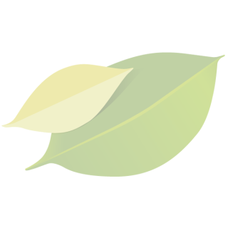 * Mehl Dinkel 630, 2,5 kg