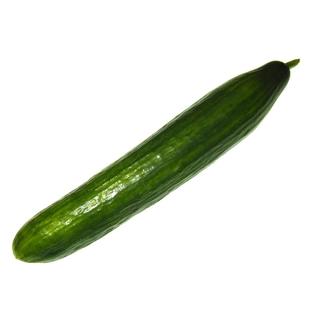 Gurke klein