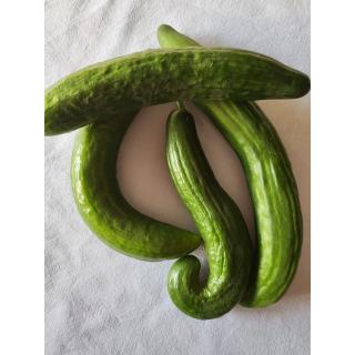 Gurke II. Wahl (krumme Gurken)
