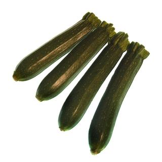 Zucchini