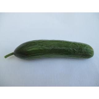 Minigurken