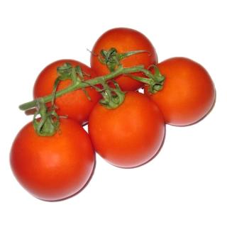 Strauchtomaten DE