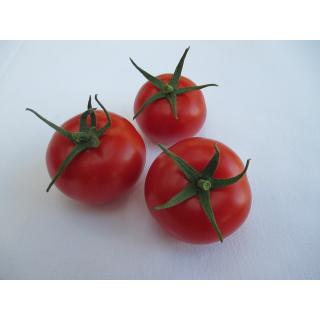 Tomaten DE, "Lycopina"