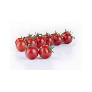 Cocktailtomaten Rispe