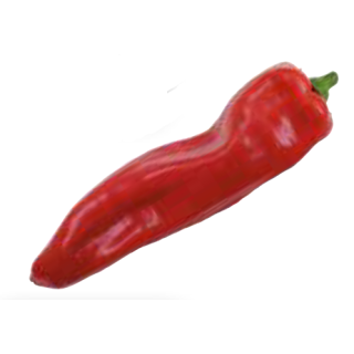 Paprika spitz rot