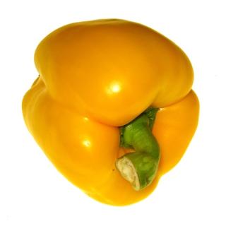 Paprika blockig gelb