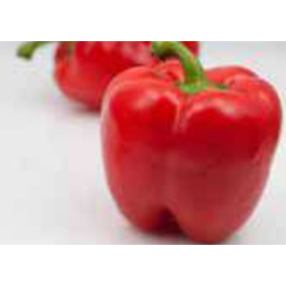 Paprika blockig rot