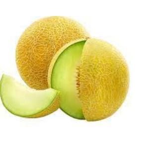 Melonen >>>Galiamelonen<<<