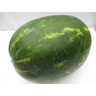 Wassermelone klein ca. 1,2 kg