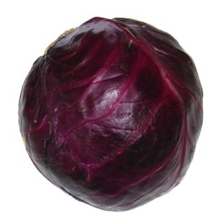 Rotkohl >NEUE ERNTE<