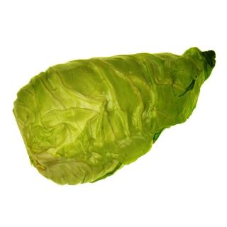 Spitzkohl (Filderkraut)