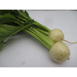Mairübchen Stück groß