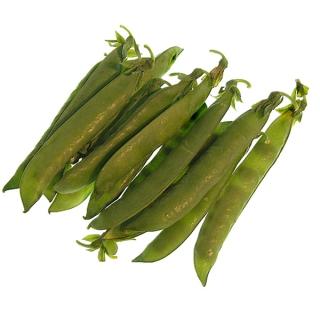 Erbsen