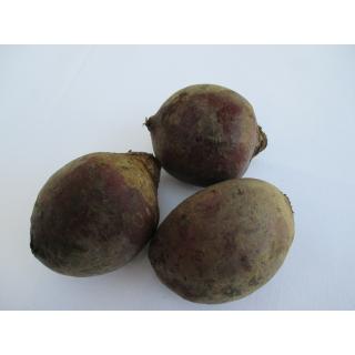 Rote Bete