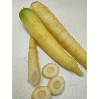 Karotten weiß