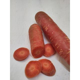 Karotten "Himbeerkarotten" himbeerfarben