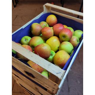 Äpfel "Rubinette", Kiste 10 kg