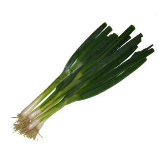 Bundzwiebel weiß