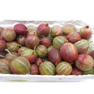Stachelbeeren 500 gr