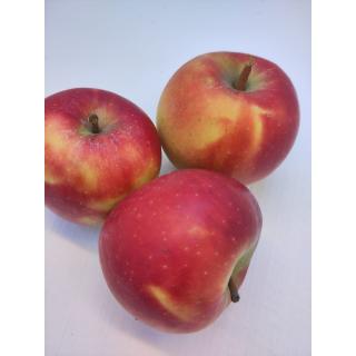 Äpfel "Discovery" NEUE ERNTE