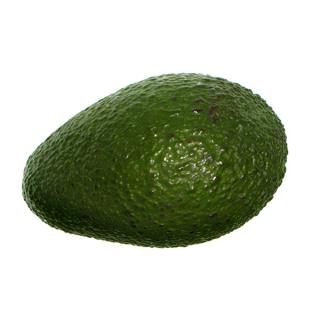 Avocado "Hass" PO