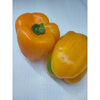 Paprika orange