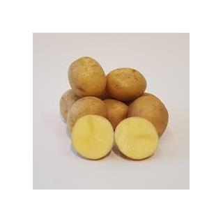 Speisekartoffel "Karelia" mehlig kochend