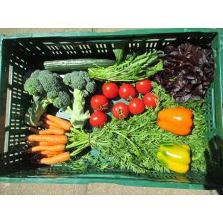 Gemüsekiste klein