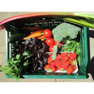 Regio Gemüse-Obstkiste groß